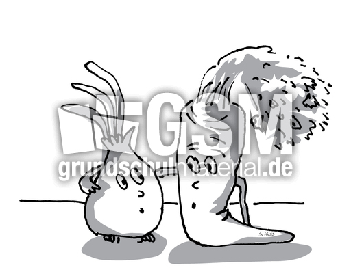 Karotte und Zwiebel 21.jpg